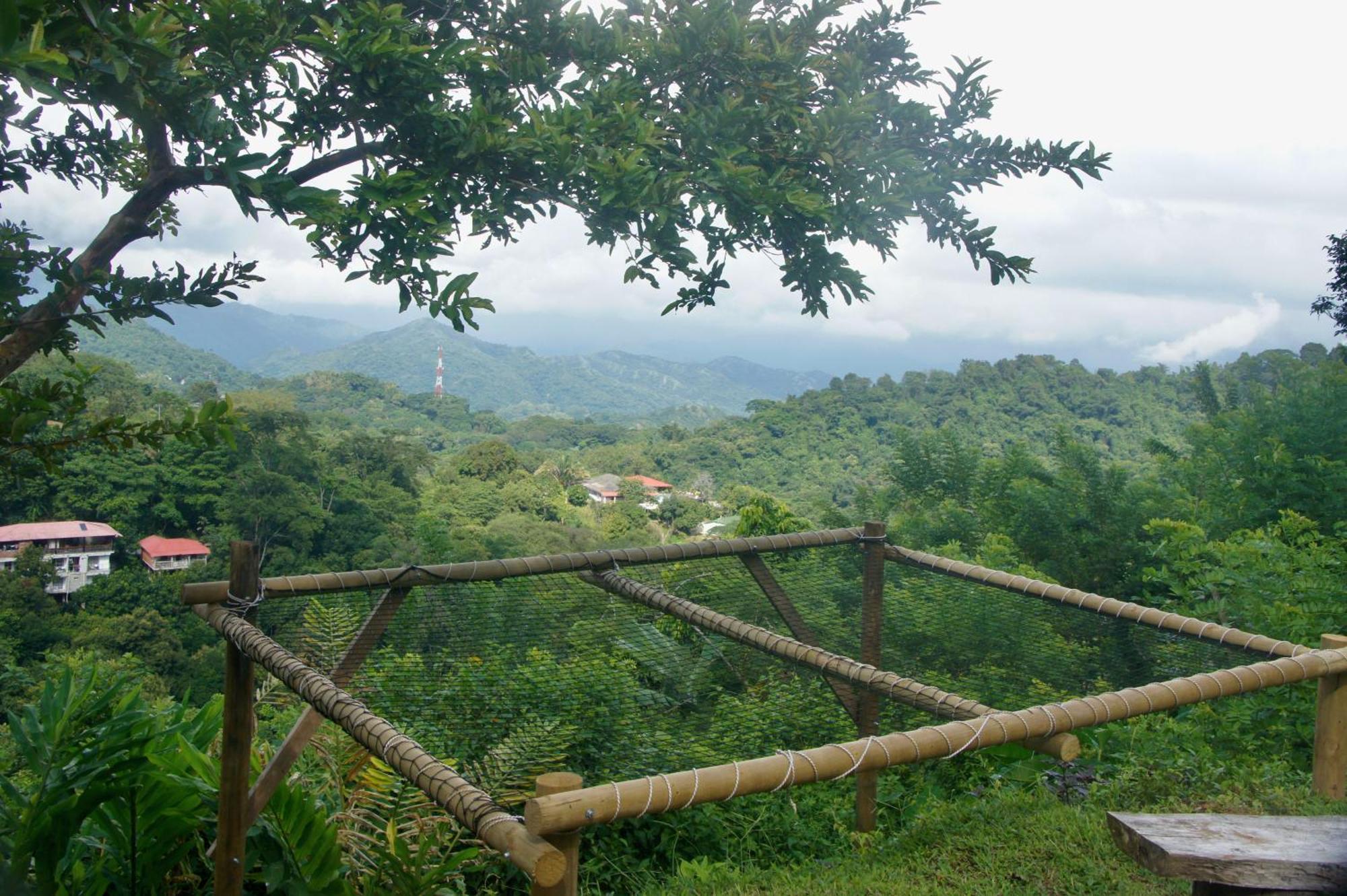 Hostal Vista Verde Minca Exterior photo